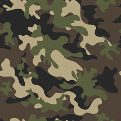 
Seamless camouflage pattern vector fashionable print, army fabric texture. Disguise. Modern design of clothes, paper, fabric. Military background