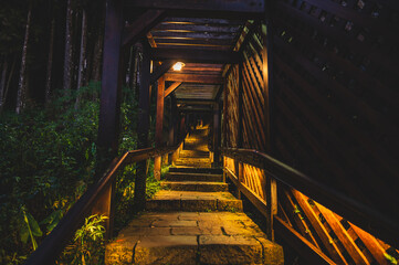 Stone stairs in Alishan National forest.The Alishan National Scenic Area is a mountain resort and nature reserve located in Alishan township, Chiayi County, Taiwan.