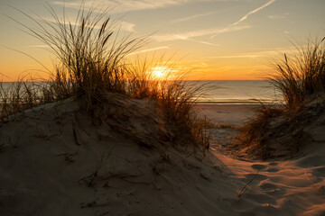 Dünengras am Meer in Dänemark