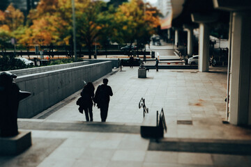 Urban scene and pedestrians. People walking on street descending concrete steps back view. Autumn...
