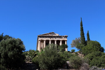 Temple de Zeus et Cyprès
