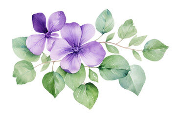 Watercolor image of purple flowers and green leaves on white background, top view - Powered by Adobe