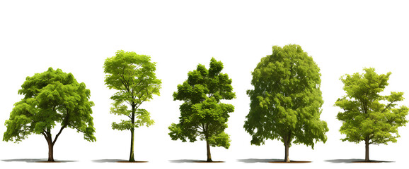 Set of trees on transparent background PNG
