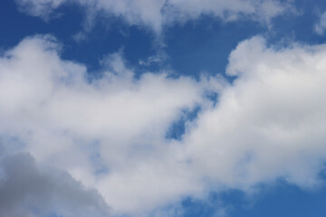 Fototapeta premium Abstract background from cloudy sky.