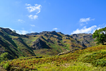 Naklejka premium landscape with sky
