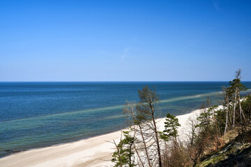 Baltic sea coast with sandy beach and cliff overgrown with trees on Wolin island