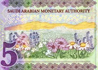 Fragment of the reverse side with field of flowers of the 5 SAR five Saudi Arabia riyals banknote