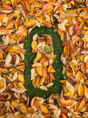 The letter O formed from colorful autumn leaves on grass
