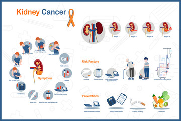 Flat medical vector illustration infographic, kidney cancer concept.states of kidney cancer, symptoms, causes and risk factors. Prevention of kidney cancer.isolated on white background.