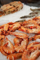 Seafood stall in the fishmonger - 681714762