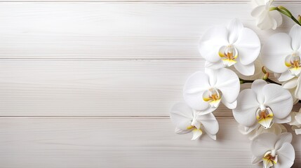 In an elegant white design, an exquisite Orchid flower adorns a textured wood backdrop, capturing the beauty of nature and love for a birthday celebration, showcasing a creative concept for a luxury