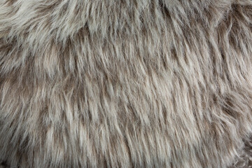 background texture wool. coloring fur with stripes