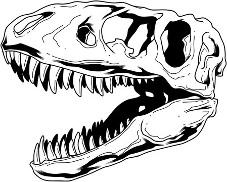 Outlined Tyrannosaurus Rex Dinosaur Skull Graphic Design. Vector Hand Drawn Illustration Isolated On Transparent Background