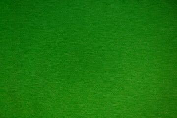 Fototapeta premium green texture