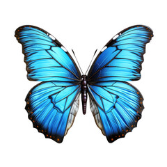 Blue butterfly , isolated on transparent