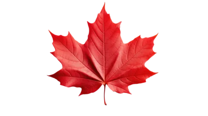 Foto op Plexiglas Red maple leaf as an autumn symbol as a seasonal themed concept as an icon of the fall weather isolated on transparent background © YauheniyaA