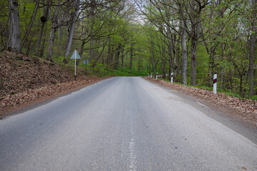 asphalt road with autumn trees