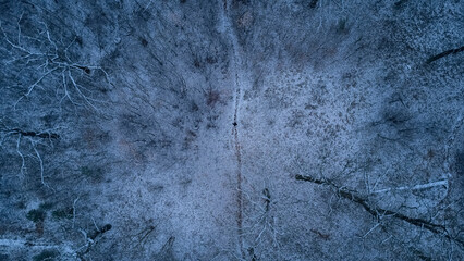 Snow in the woods 
Human among trees
Human in forest
Forest during winter
Winter
Snow in...