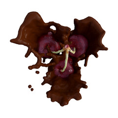 Realistic 3D render of Cherry best for commercial and Design purpose