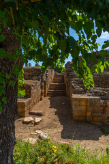 Entrance of granite stairs in a hallway of the ruins of the architectural complex of the Roman Amphitheater of Mérida on a sunny day with a tree of branches with green leaves framing the picture