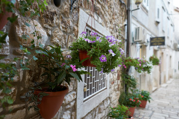 A narrow street of an old European city with flowers in hanging cachepots on the facades of buildings and in vases by the walls.