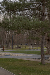 Kharkiv, Ukraine. - November 12, 2023: there are many autumn trees in Sarzhyn Yar Park where people walk in the evening
