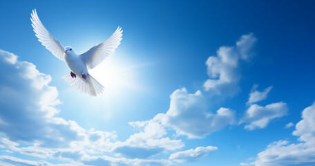 The pigeon of peace. A white pigeon flying in the blue sky. 
Illustration of the sky and the flight of a bird.