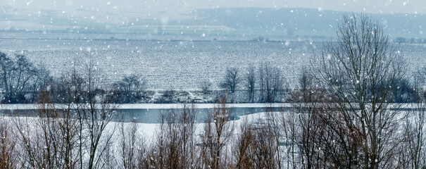Obraz premium Winter landscape with thickets of trees and bushes near a river and a field during a heavy snowfall