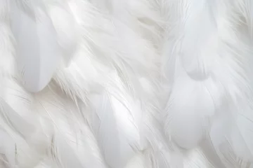 Foto op Aluminium A detailed close up view of white feathers. Perfect for adding texture and elegance to any project. © Fotograf