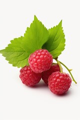 A simple and clean image featuring three fresh raspberries with leaves on a white background. Perfect for food-related projects and designs