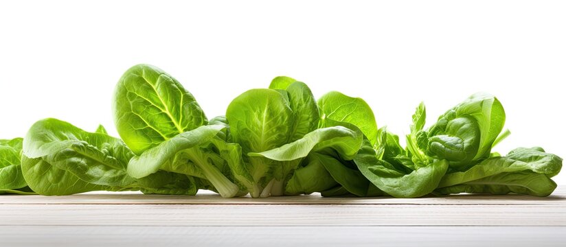 In the isolated white background of a pristine kitchen, a vibrant green salad made with fresh spring ingredients lies on a wooden table adorned with a single white leaf, epitomizing the harmonious