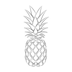 Vector coloring page, pencil sketch, outline drawing of pineapple on isolated white background.
