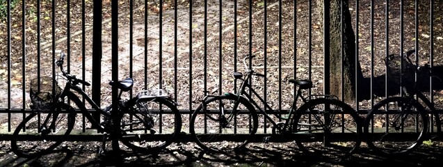 Biciclette appoggiate ad un cancello in ferro nella stagione autunnale - obrazy, fototapety, plakaty