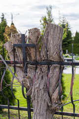 The felled tree has grown into a forged metal fence. Tree stump.
