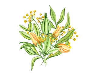 Spring bouquet with green transparent branches of leaves and flower buds. Yellow, orange flowers, bright leaves. Watercolor illustration for Valentines day, mothers day cards, invitations