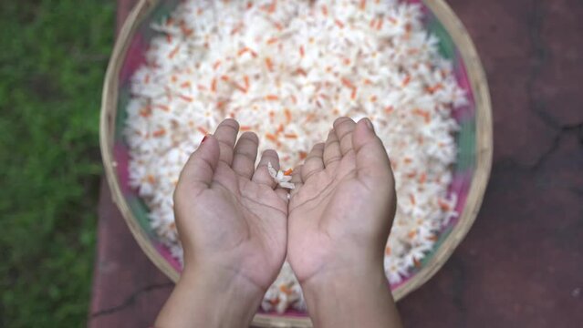Night jasmine, Seuli or Shefali flower is symbol flower of saradiya or Durga Puja festival in autumn season.