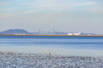 San Francisco Skyline and San Francisco International Airport (SFO) viewed from Bayside Park in...
