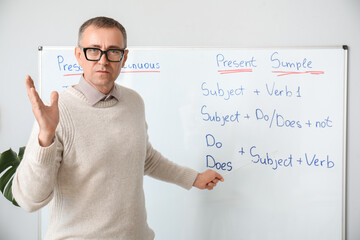 Male teacher with pointer conducting English grammar lesson in classroom