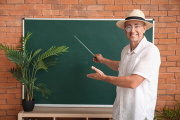 Male teacher with pointer conducting geography in classroom