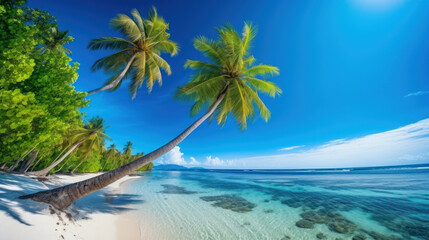Idyllic tropical beach, bright day