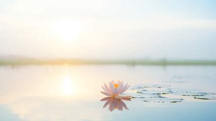 Landscape morning sunrise on lake with beautiful pink lotus flowers, concept Vesak day - obrazy, fototapety, plakaty