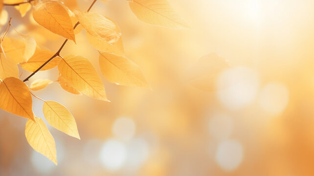 golden autumn background with leaves
