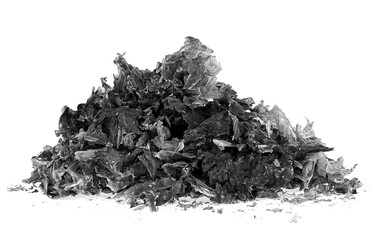 Pile of burnt paper isolated on a white background. The ashes of the paper. Charred paper scraps.