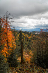autumn landscape of the Carpathian mountains