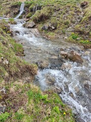 stream in the forest Panoramabrücke Austria