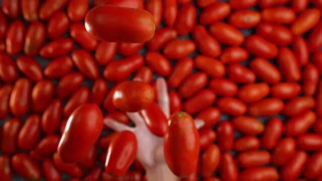 Tomatoes thrown in slow motion