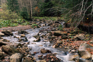 Mountain river in the Carpathian mountains in the autumn season