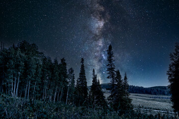 Milky Way above pine trees in Utah's Wasatch Front