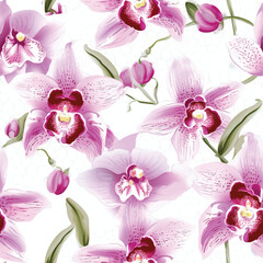 Orchid wallpaper