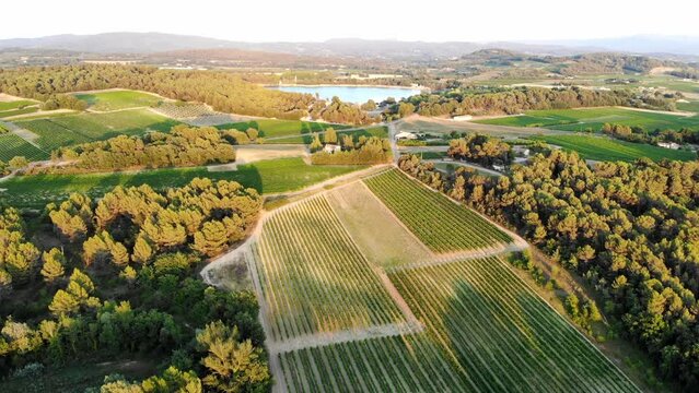 Aerial Mediterranean landscape with cypresses, olive trees, vineyards and Pond of Bonde in Provence, Southern France